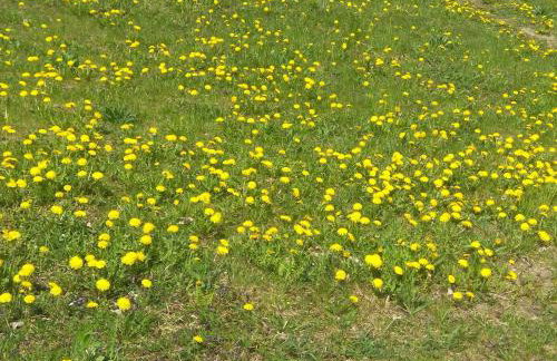 W starej szkole - agroturystyka - Foto 67