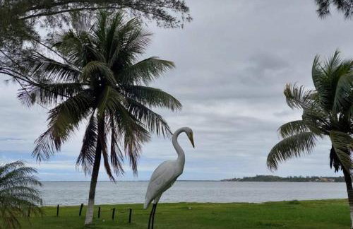 Casa da Vovó Irene - Foto 17