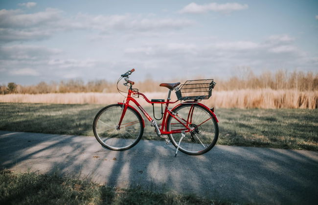 Finger Lakes Treehouse & Spa - Foto 57