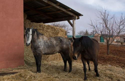 El Retiro de Cervantes - Foto 48