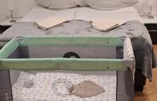 Ferienwohnung-Vetter - Foto 26