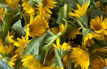 Casale Dionisia, Santa Maria di Castellabate - Foto 61