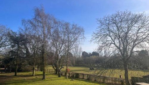 The Paddocks - Foto 3