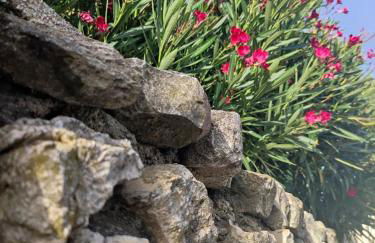 Le gite de lOlivier en Provence - Foto 22