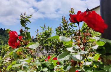 Tra Sole & Mare - Foto 31