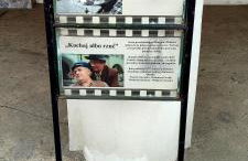 Agroturystyka Zielony Domek - Apartament na wyłączność, slow life, staw, oswojone zwierzęta gospodarskie, posiłki z własnych eko produktów - Foto 52