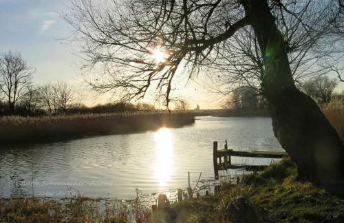 Bungalow mit Kamin in Ribnitz-Damgarten - Foto 14