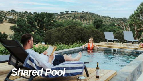 Alojamentos Plansel - No Coração das Vinhas do Alentejo - Foto 2