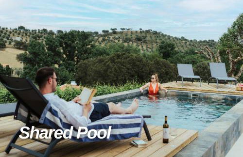 Alojamentos Plansel - No Coração das Vinhas do Alentejo - Foto 2