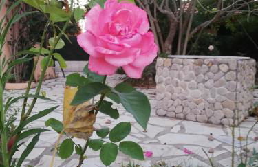 Anestis Studios - Foto 45