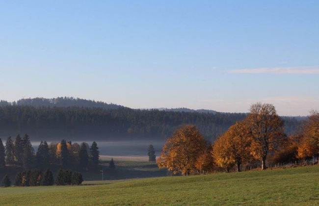 Maison de vacances - Les Hirondelles - Foto 12