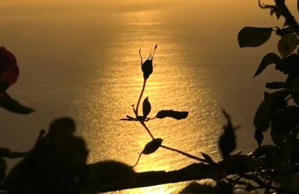 Casa Maruca - Foto 28