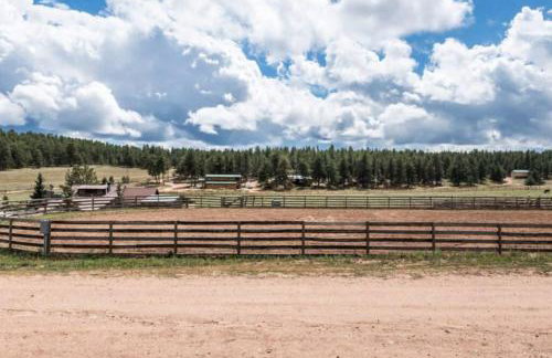 New! Charming Cabin in Colorado National Forest - Foto 11