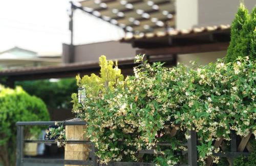 PAVLOS ROOMS - Foto 63