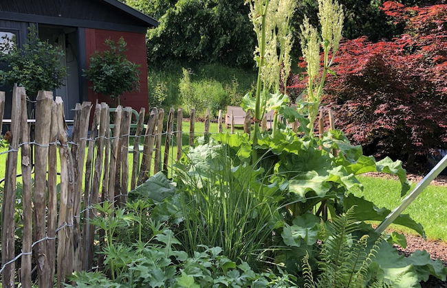 Rebenhaus Meißen - Foto 33