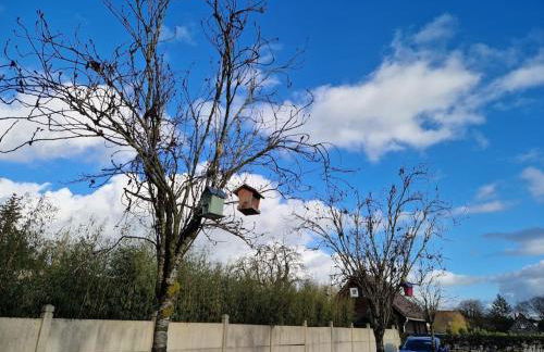 Accueillant et pratique, proche de Chantilly et du parc Asterix - Foto 25