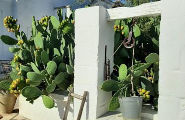 Masseria Fulcignano - Foto 35