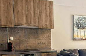 EXOTIC LUXURY APARTMENT - Photo 8