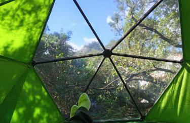 Bergerie U Caseddu - Foto 73