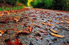 Mrežnica - Zelena oaza II - Foto 38