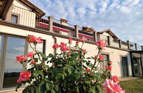 Agriturismo PIAN DEL GRANO Azienda agricola - Foto 12