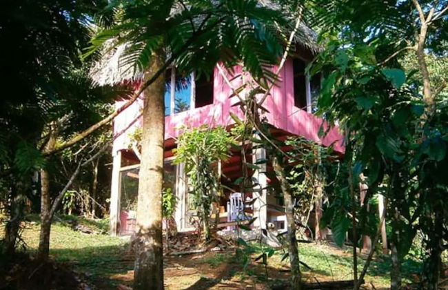 Vanilla Jungle Lodge - Bed & Breakfast - Foto 1