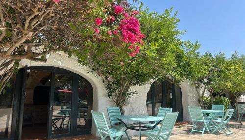 Agroturismo Matxani Gran - Foto 4