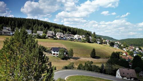 Schwarzwaldblick - Foto 4