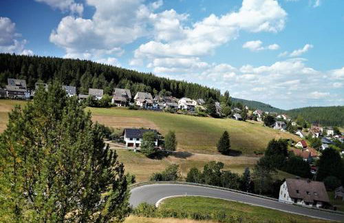 Schwarzwaldblick - Foto 4