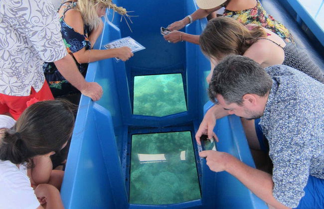 Giro in barca con fondo trasparente - Foto 4