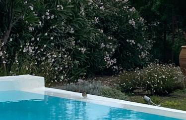 Villa Mouria private villa just 200m from the sea - Foto 30