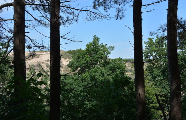 Lovely Home in Noordwijkerhout near Sea Beach - Foto 21