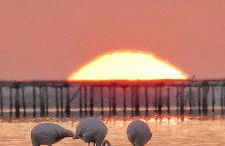 Exclusivo Chalet a Pie de Costa - Foto 53