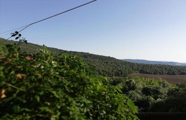 Cozy Stay With Scenic Views - Foto 35