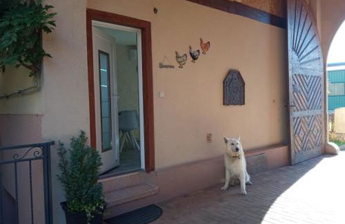 Gites Les Cocottes - Foto 7