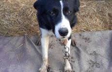 Church Farm - Foto 24