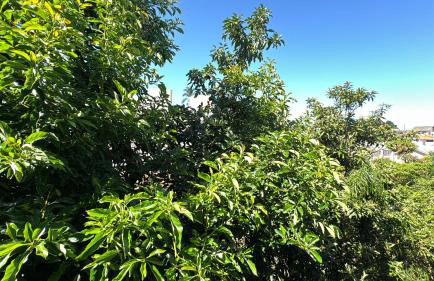 07-STUDIO ENCANTADOR PARA CASAL - Foto 20