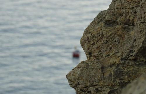 Casa Afonso Henriques - Foto 64