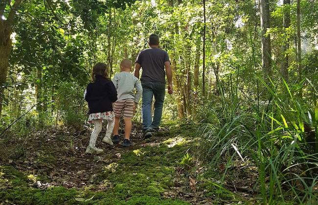 Carawirry Forest Escape - Foto 37