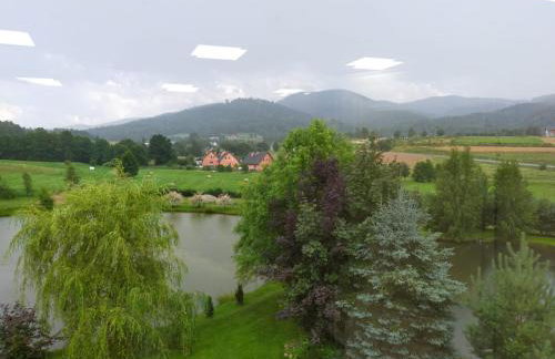 VIP Apartament Sosnówka - Foto 16