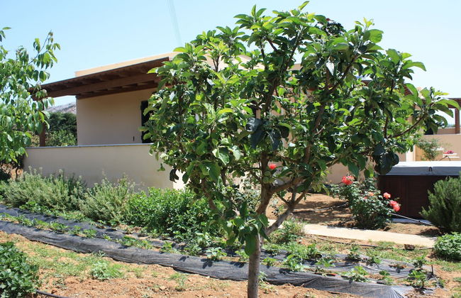 Naxos Cottage - Foto 51