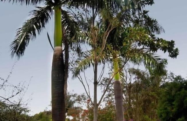 Hotel Fazenda Vale Amanhecer - Photo 56