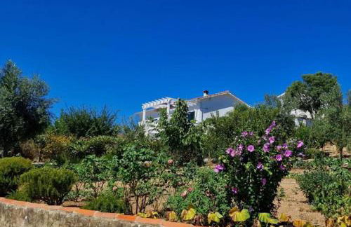 Casa Grande Abrunheiro Grande - Foto 1