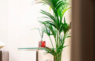 Paci Luxury Suite - Foto 19