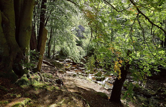 Jalhay Pondside Forest Home - Foto 36