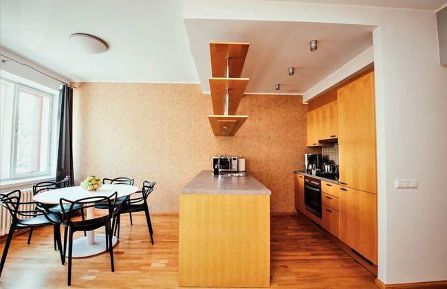 Tallinn City Apartments Freedom Square - Photo 36