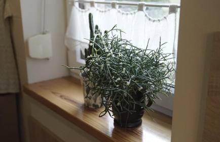 Miodowe Zacisze - Photo 24