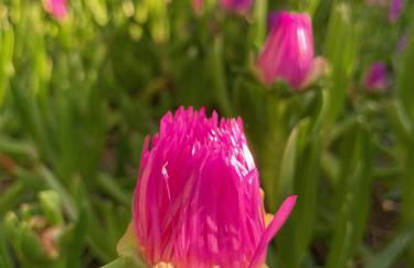 AzuRoMarin - Foto 40