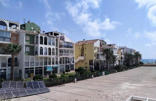 Palm House - Foto 25