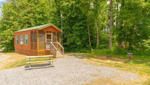 Jellystone Park at Natural Bridge - Foto 4